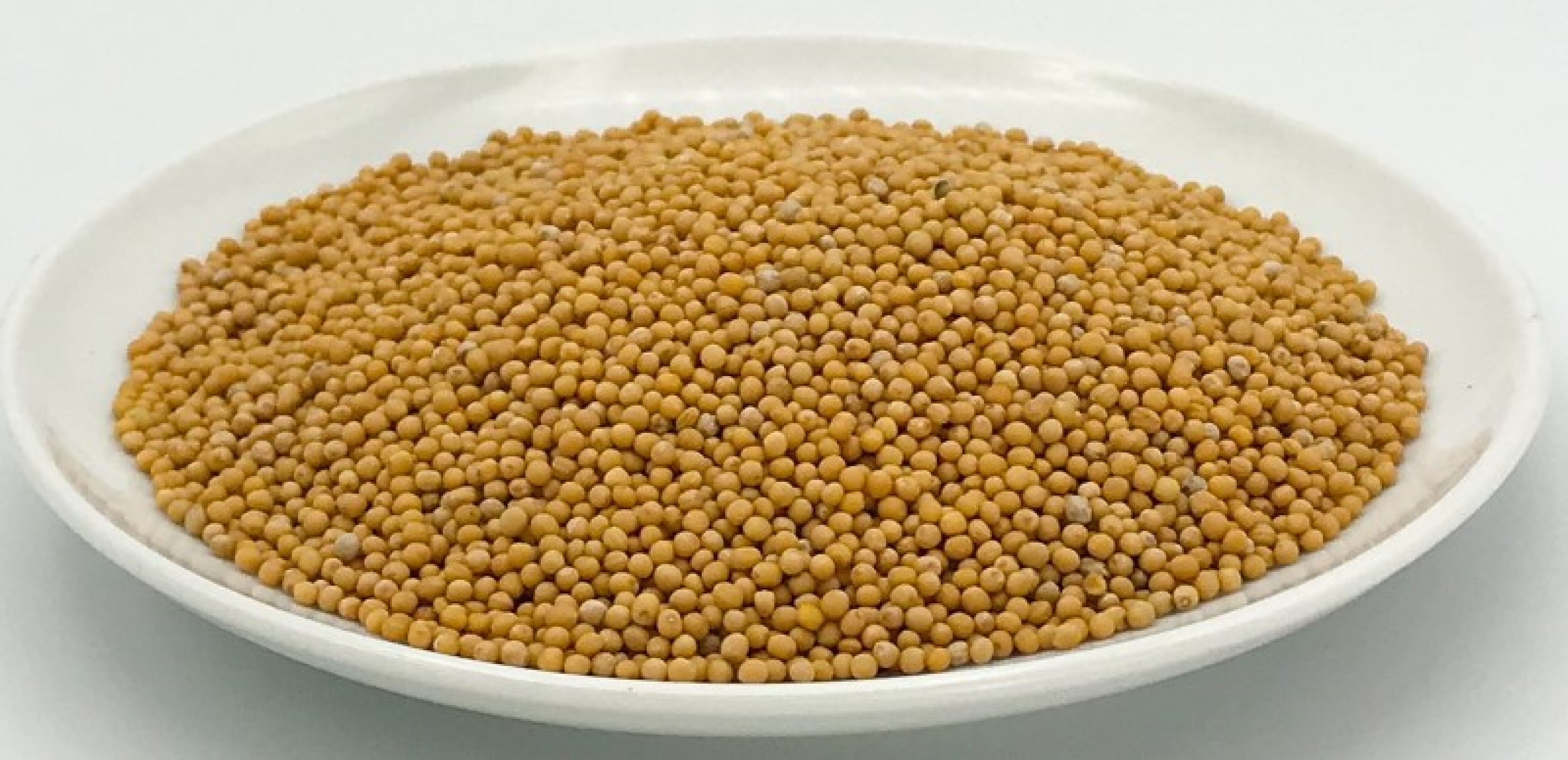 Senfkörner, 100g